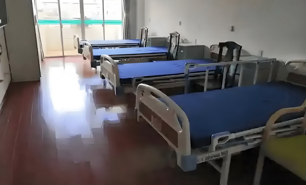 落宅的双身少女